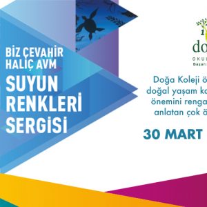 Suyun Renkleri Sergisi