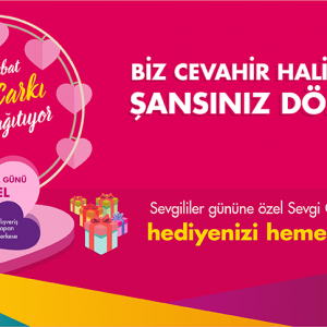 Sevgi Çarkı